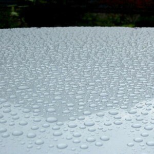 Basic Washing and Waxing